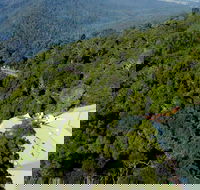 Canopy Cafe - Pubs Adelaide