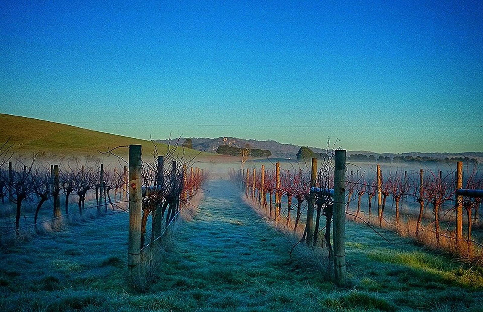 Allendale VIC Pubs Adelaide