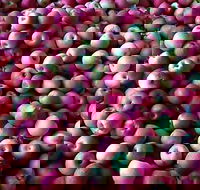 Hillside Harvest - Pubs Adelaide