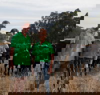 Milawa Organic Beef - Pubs Adelaide