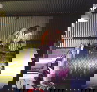 Orange Mountain Wines - Pubs Adelaide