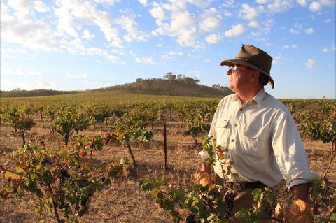 Sally's Paddock At Redbank Winery - Pubs Adelaide 2