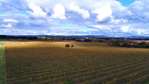 Schubert Estate - Pubs Adelaide 0
