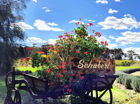 Schubert Estate - Pubs Adelaide 2