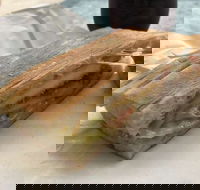 Vispo Espresso Bar - Pubs Adelaide