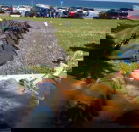 Fish House - Pubs Adelaide