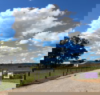 Short Sheep Micro-Winery - Pubs Adelaide