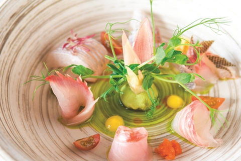 TARA SUSHI BAR - Pubs Adelaide 0