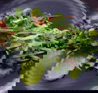 Bellbird - Pubs Adelaide