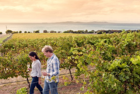 Boston Bay Wines - Pubs Adelaide 0