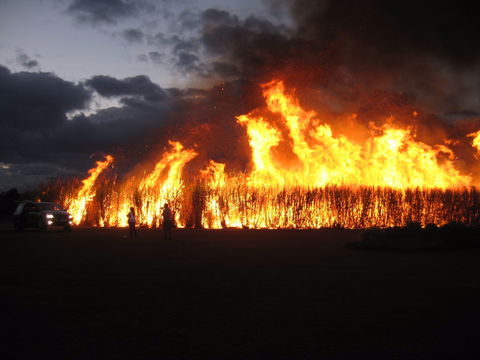 Murdering Point Winery - Pubs Adelaide 2