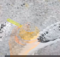 Spice Cottage - Pubs Adelaide