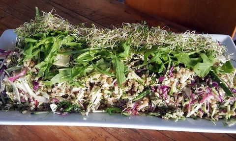 The Lithgow Tin Shed - Pubs Adelaide 4