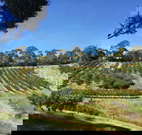Cherrytime Orchard - Pubs Adelaide