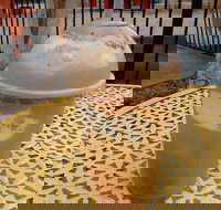 Jasmine Greens Park Kiosk - Pubs Adelaide