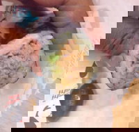 La Porchetta Colac - Colac - Pubs Adelaide