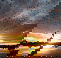 Old Lodge Gallery Emporium and River Cafe - Pubs Adelaide