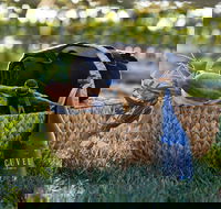 Rowlee Wines Picnic Hamper - Pubs Adelaide