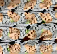 Sushi Pia - Pubs Adelaide