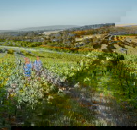 Wills Domain - Pubs Adelaide