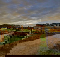 Baarmutha Wines - Pubs Adelaide