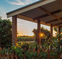 Caf in the Vines - Pubs Adelaide