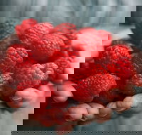 Christmas Hills Raspberry Farm Cafe - Pubs Adelaide