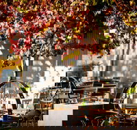 Jones Winery  Vineyard - Pubs Adelaide