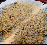 Man-O-Salwa - Clayton - Pubs Adelaide