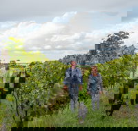 Ross Hill Wines - Pubs Adelaide