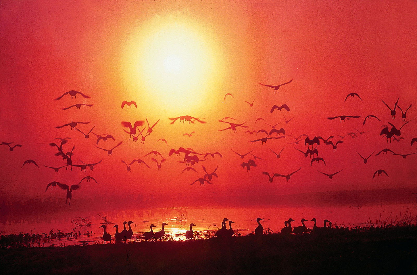 Canberra And Surrounds VIC Pubs Adelaide