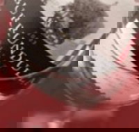 Burrundulla Vineyards - Pubs Adelaide