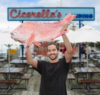 Cicerello's - Fremantle - Pubs Adelaide