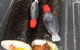 Kenko Sushi House - thumb 0