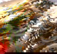 Merimbula Wharf - Pubs Adelaide