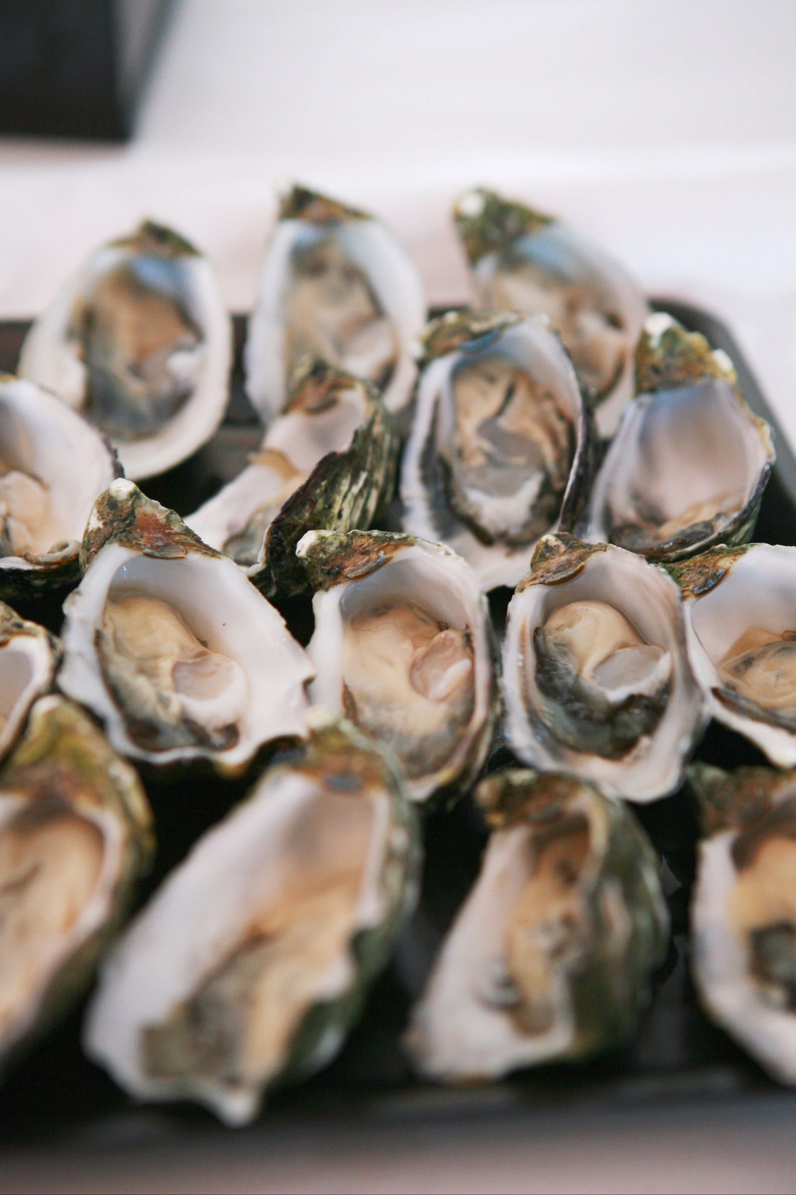 Solomontown SA Pubs Adelaide