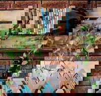 Wilderness Bar - Pubs Adelaide