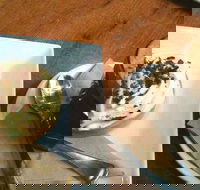 Appleseed cafe - Pubs Adelaide