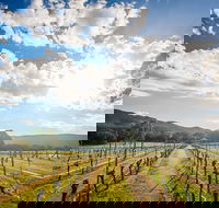 Fallen Giants Vineyard - Pubs Adelaide