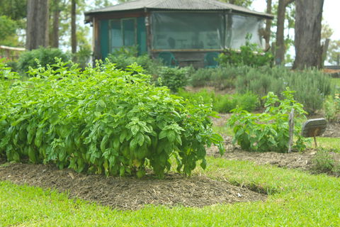 Hillview Herb Farm - Pubs Adelaide 2