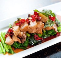 Holy Basil - Parramatta - Pubs Adelaide