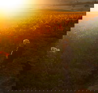 HOOSEGG Cellar Door - Pubs Adelaide