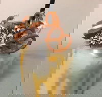 Where Ya Bean - Pubs Adelaide