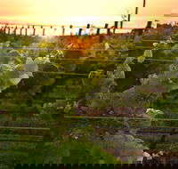 Bennetts on Bellarine Winery - Pubs Adelaide