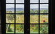Black Swan Winery And Restaurant - thumb 1