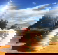 Fork it Farm - Pubs Adelaide