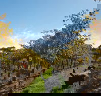 Ruddenklau Wines - Pubs Adelaide