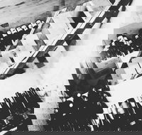 The Cordial Bar - Pubs Adelaide