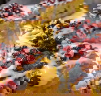 Persian Room 248 - Pubs Adelaide