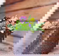 The York Mill - Pubs Adelaide